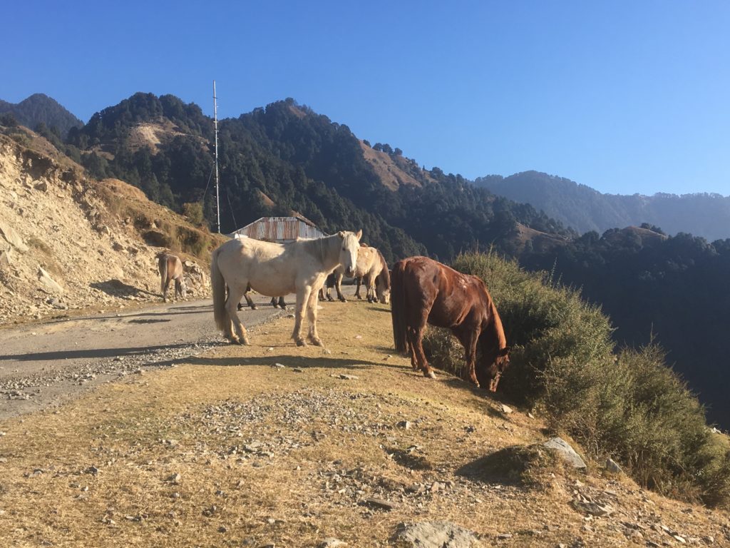Trip to Bir Billing Himachal Pradesh