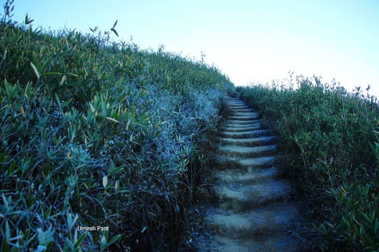 नज़ारे, नागालैंड की ख़ूबसूरत ज़ूको वैली के