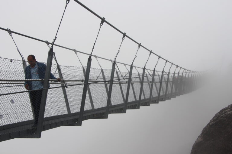 दुनिया के पहले रोटेयर गोंडोला से माउंट टिटलिस की यात्रा