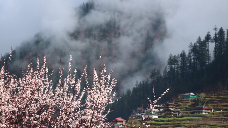 बाद बारिश के