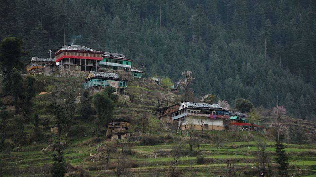 Jibhi Himachal Pradesh village walk