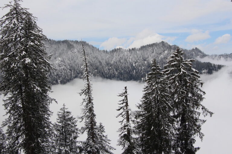 Snow clad mountains in Jibhi winter trekking
