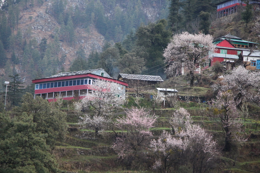 Guest house in Jibhi Himachal Pradesh
