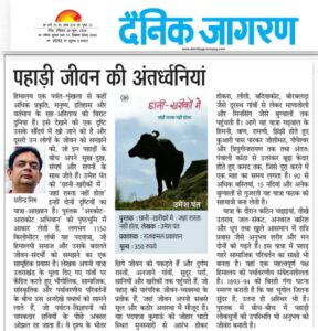 Chhani Khareekon mein Bool review Dainik Jagran